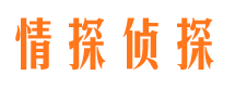 渑池市调查公司